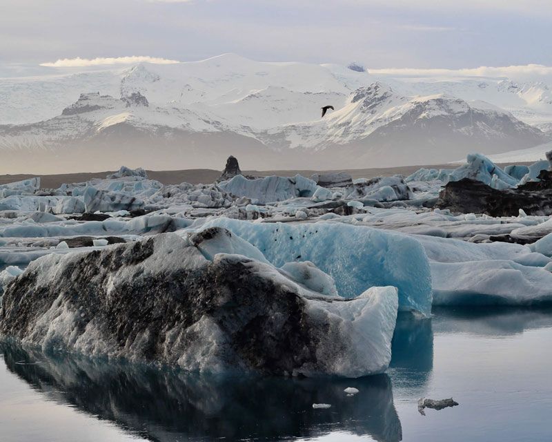 icebergs jokulsarlon geleira lagoa iceland