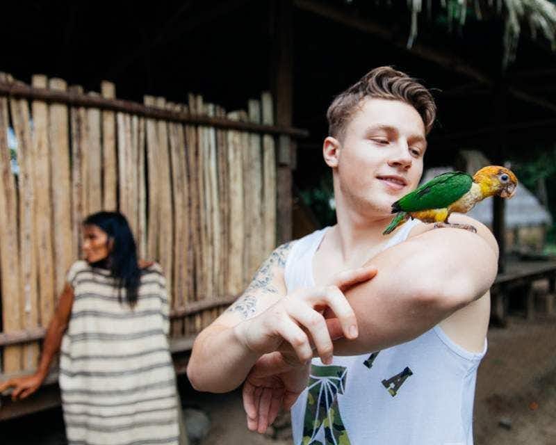 piccolo pappagallo sul braccio di un ragazzo