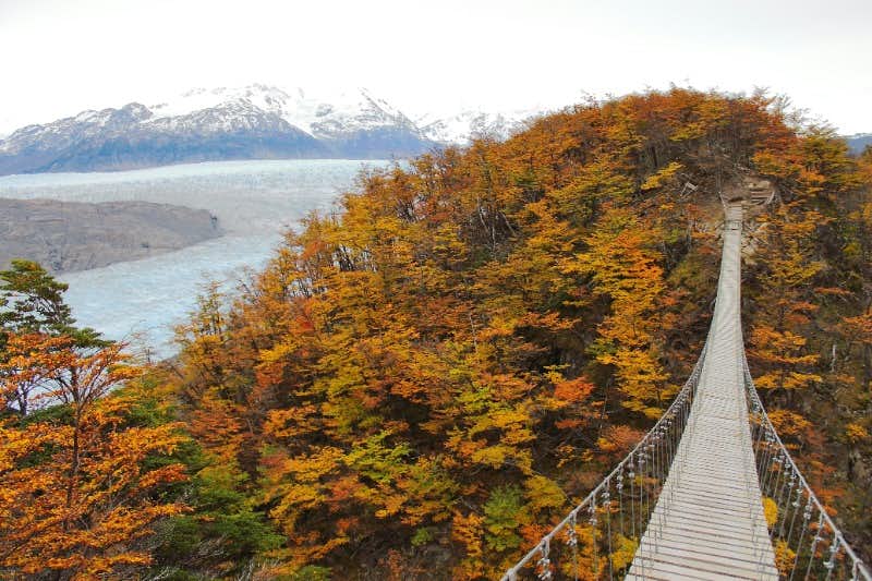 glacier grey suspension bridges