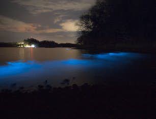 Costa Rica bioluminescence kayak
