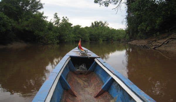 Barco no rio Tuichi