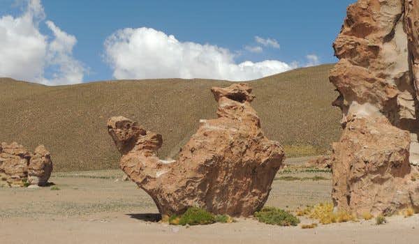 vale de camelos das rochas