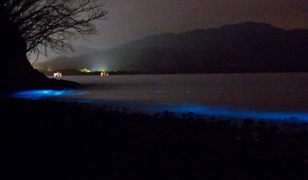 Baía de águas bioluminescentes da Costa Rica