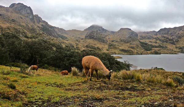 Acampe e aproveite a caminhada pelos lagos mais espetaculares do Equador