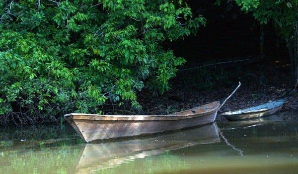 Passeio de canoa em Cuyabeno
