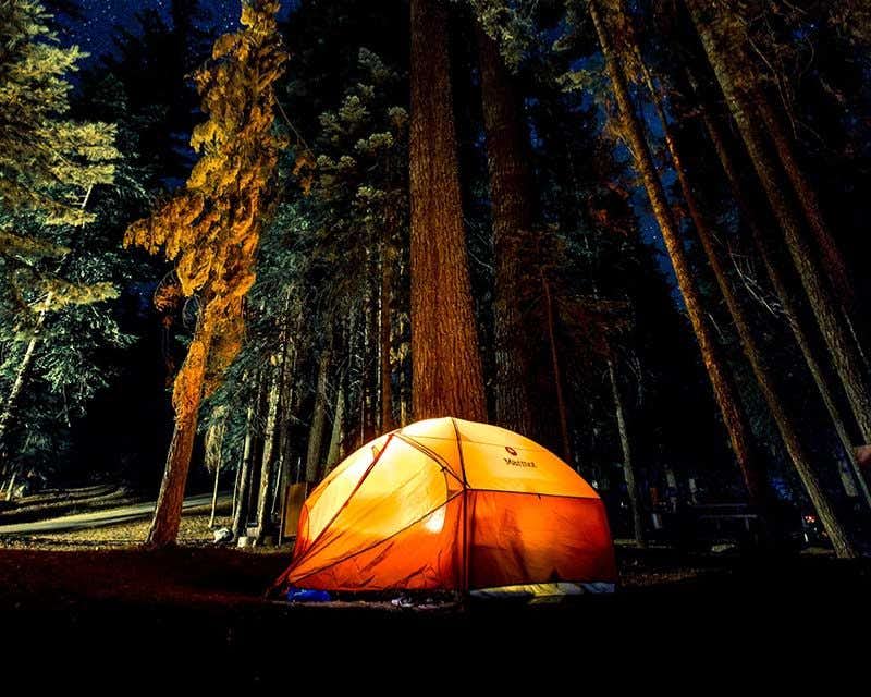 Noite de acampamento em Yellowstone sob as estrelas