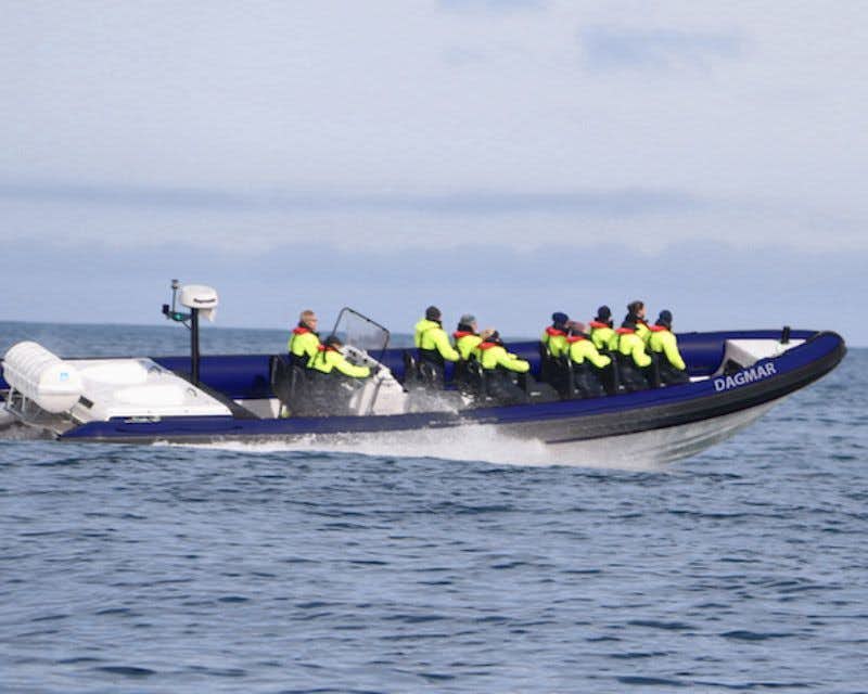 Barco RIB na costa de Reykjavik