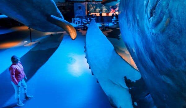 Interior do museu da baleia em Reykjavik