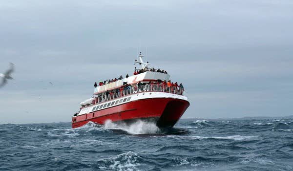 barco para observação de baleias em reykjavik