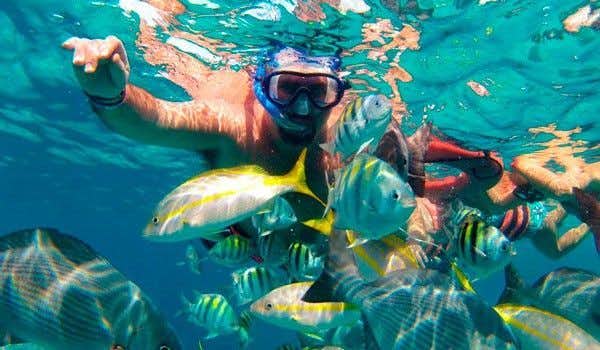 mergulho com snorkel na Ilha Mujeres