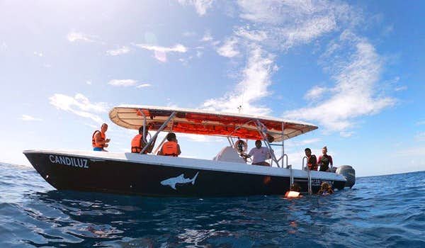 passeios com tubarões-baleia em isla mujeres