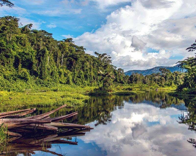 lagoa e selva do parque nacional de Manu