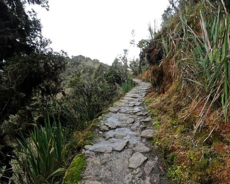 caminho de pedra da trilha inca