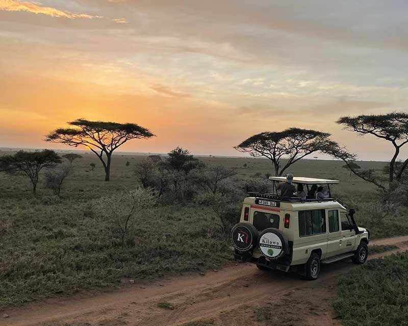 4x4 im Serengeti-Nationalpark