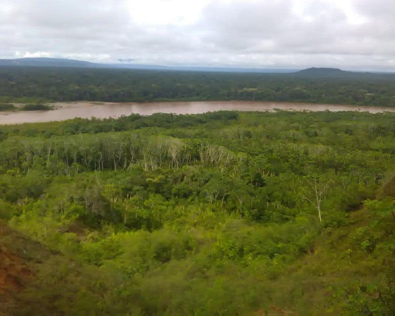 Amazonas-Dschungel-Landschaft
