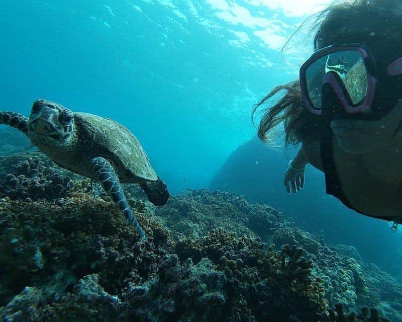 Mädchen beim Schnorcheln in Costa Rica, das eine Meeresschildkröte erspäht