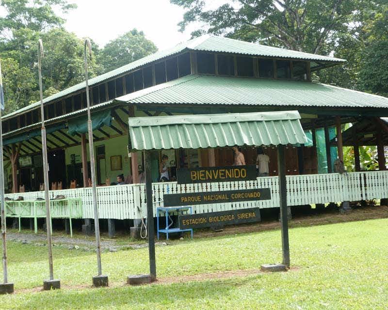 Biologische Station Sirena in Costa Rica