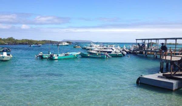 Puerto Villamil Insel Isabela