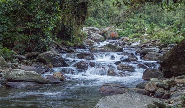 Fluss in der Natur der Sierra Nevada de Santa Marta auf der Tour in die verlorene Stadt