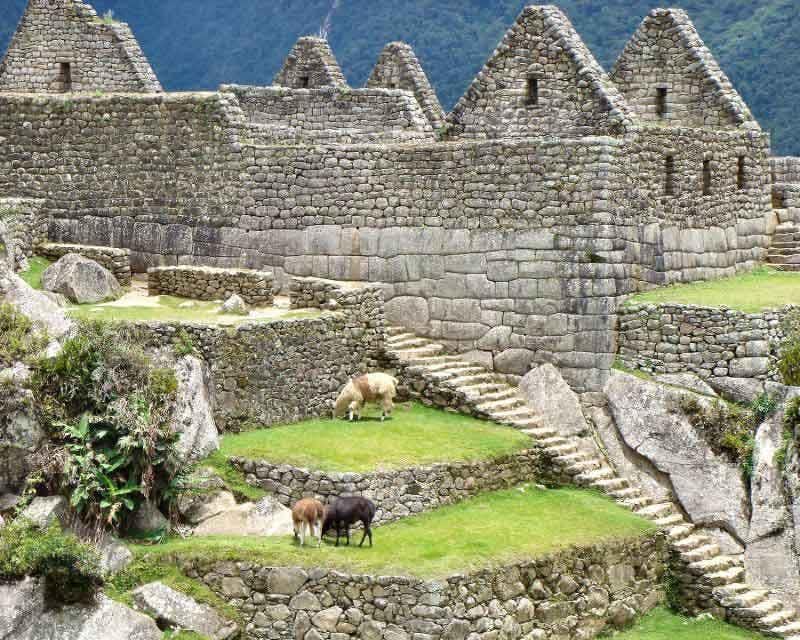 Blick auf die Terrassen von Machu Picchu