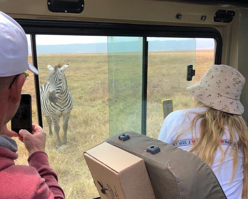 zebra sighting from the jeep on safari in the serengeti