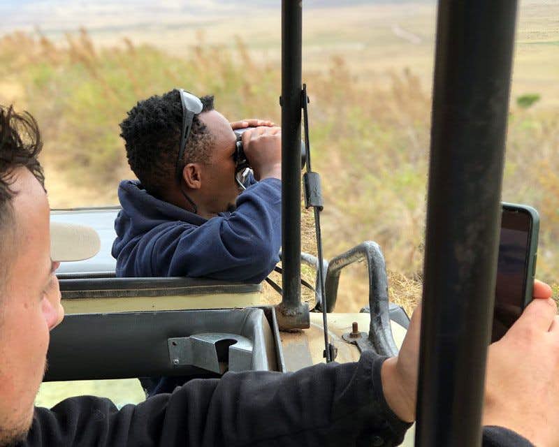 guide looking for animals in ngorongoro park