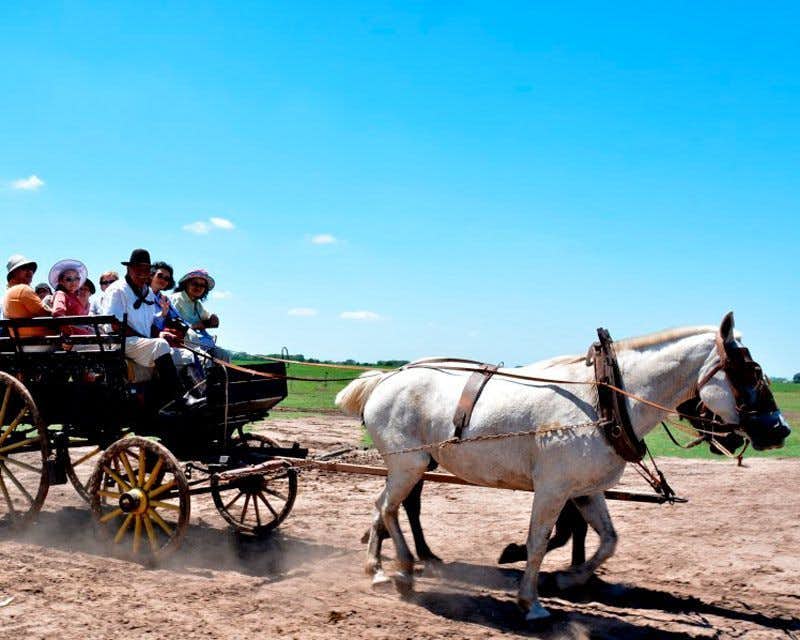 horse-drawn carriage ride at the susana ranch