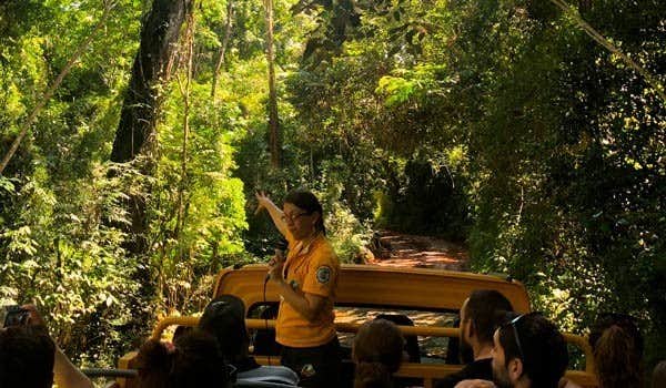 iguazu falls panoramic bus and safari macuco
