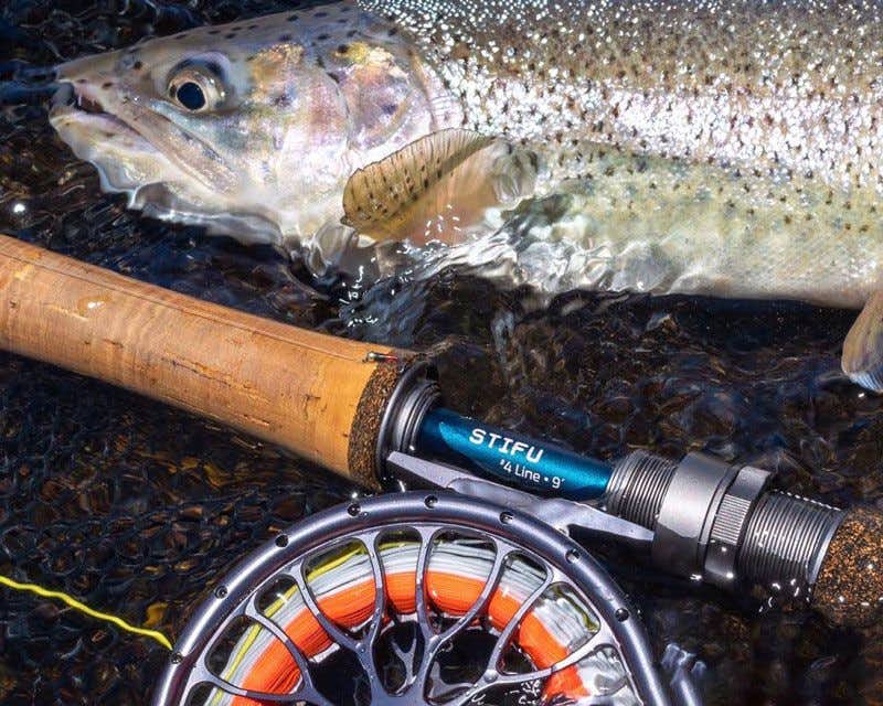 Rainbow trout next to a river fishing rod in Argentinean Patagonia