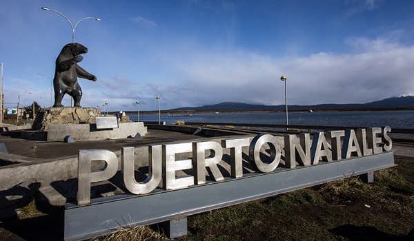 puerto natales signal with bear statue