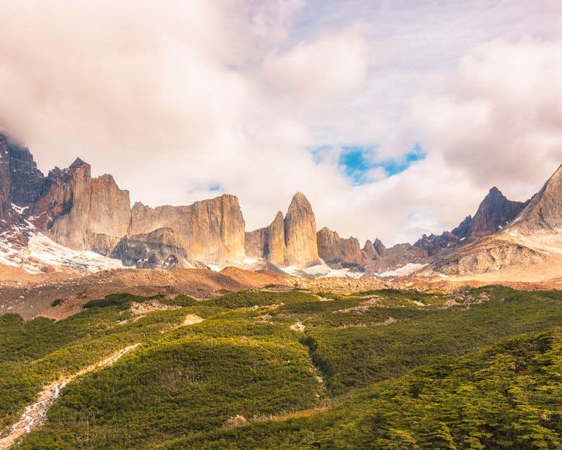 Torres del Paine forest and mountains  landscape