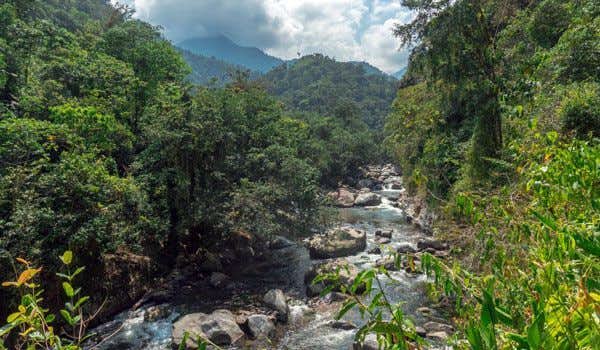 river in the jungle of sierra nevada colombia