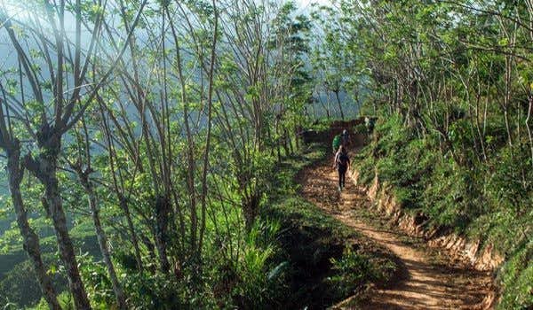 couple trekking from mamey to camp 1 lost city