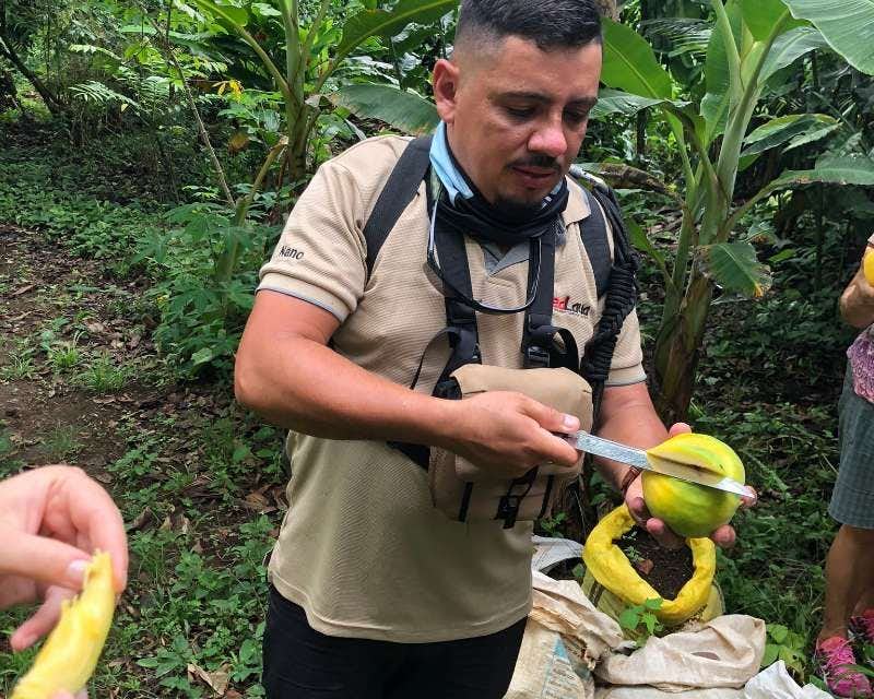 guide opening exotic fruit arenal costa rica