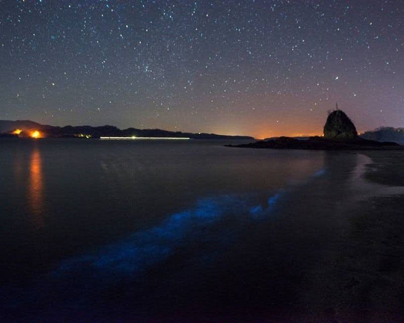 Bioluminiscent water and sky full of stars Costa Rica