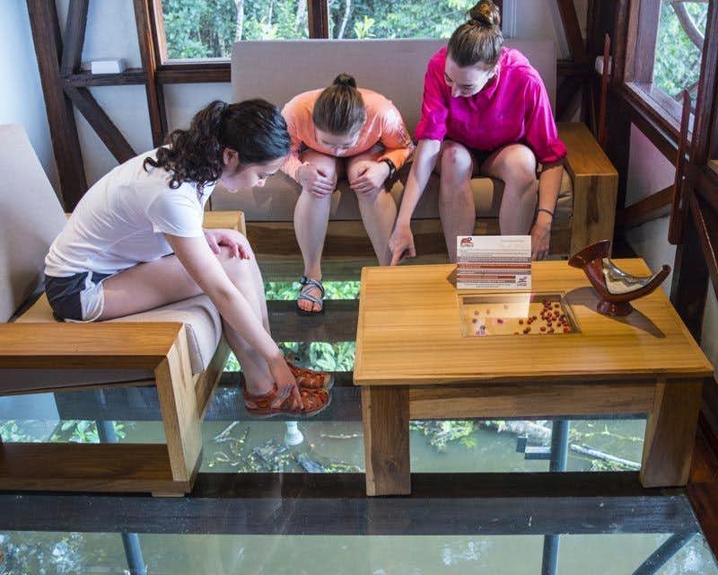 girls looking at the river through the glass floor of the lodge