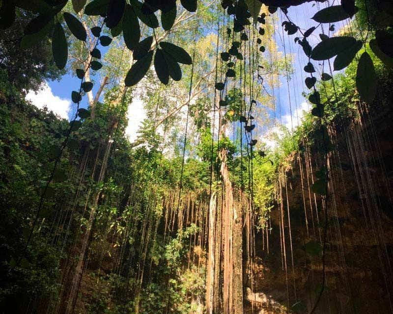 open sky of a sacred cenote