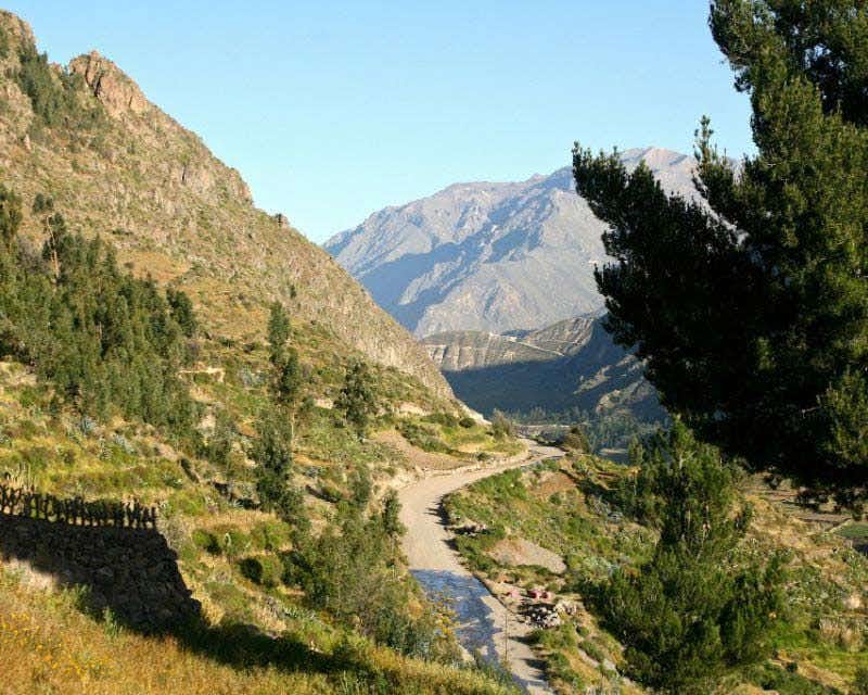 Trail in Colca Valley