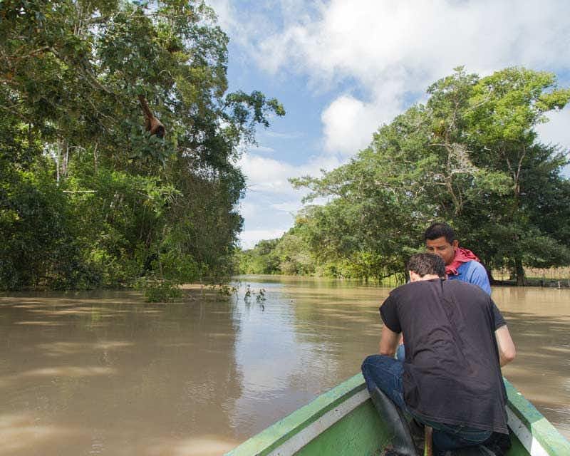 Tourist and guide navigating the Amazon River in Iquitos Peru with the trees in the background.