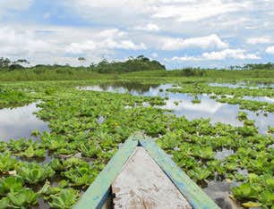 Iquitos Jungle Trip