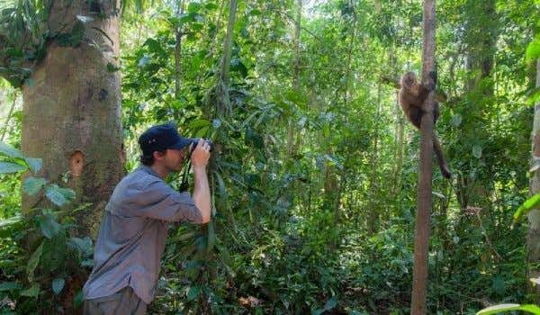boy taking a photo of a monkey in the jungle