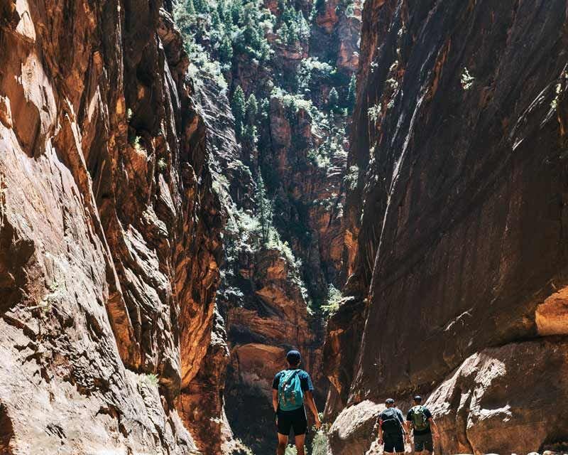 zion national park day tour from las vegas
