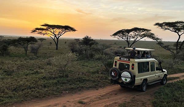 safari en el Parque Nacional Serengeti