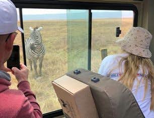 Safari Serengeti 2 Días