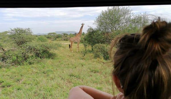 viajera admirando una jirafa desde el jeep en serengeti