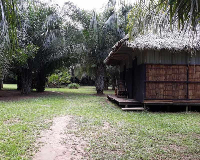 Cabaña del Ecolodge en Madidi