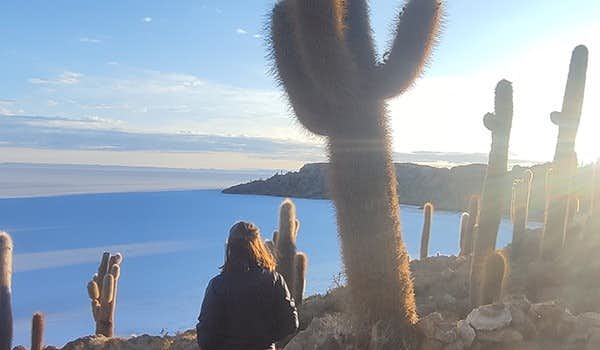 isla incahuasi cactus gigantes en el salar de uyuni