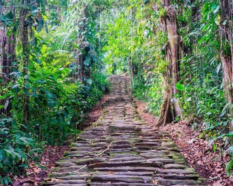 escaleras en el camino del tour a la ciudad perdida de Colombia