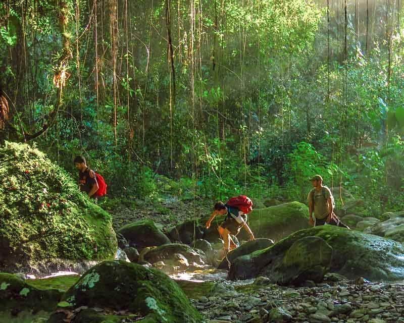 tres viajeros en la selva colombiana