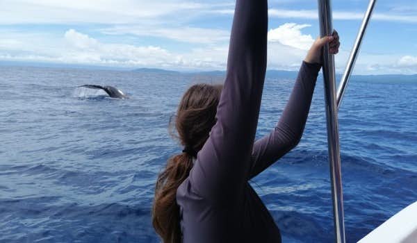 Mujer viendo delfines desde barco camino a Isla del Caño